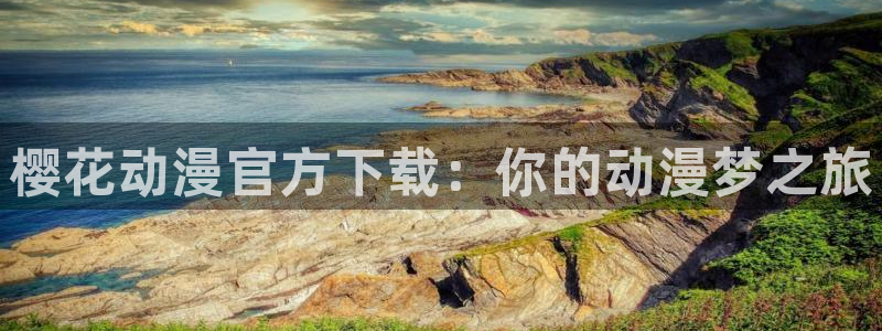动漫之家排行